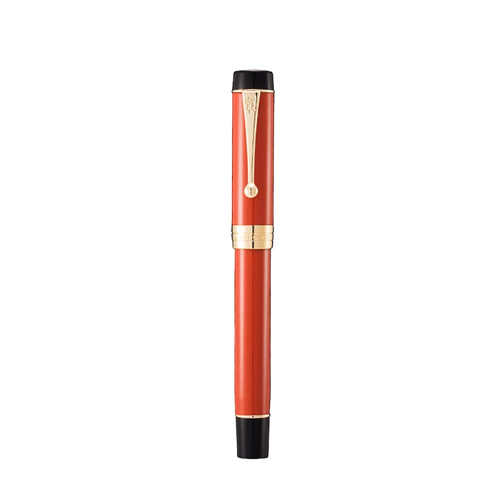 Jinhao 100 Fountain Pen Celluloid Classic Style, #6 Nib Smooth Writing Instrument with Refillable Converter and Pen Case Set