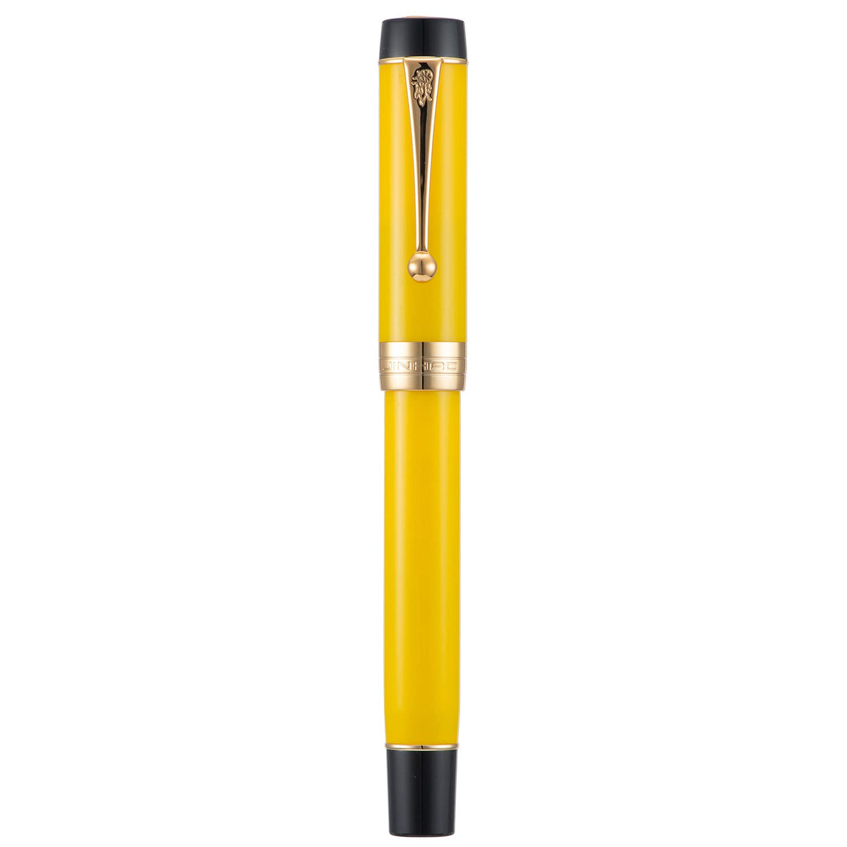 Jinhao 100 Fountain Pen Celluloid Classic Style, #6 Nib Smooth Writing Instrument with Refillable Converter and Pen Case Set