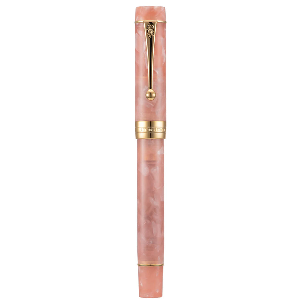 Jinhao 100 Fountain Pen Celluloid Classic Style, #6 Nib Smooth Writing Instrument with Refillable Converter and Pen Case Set