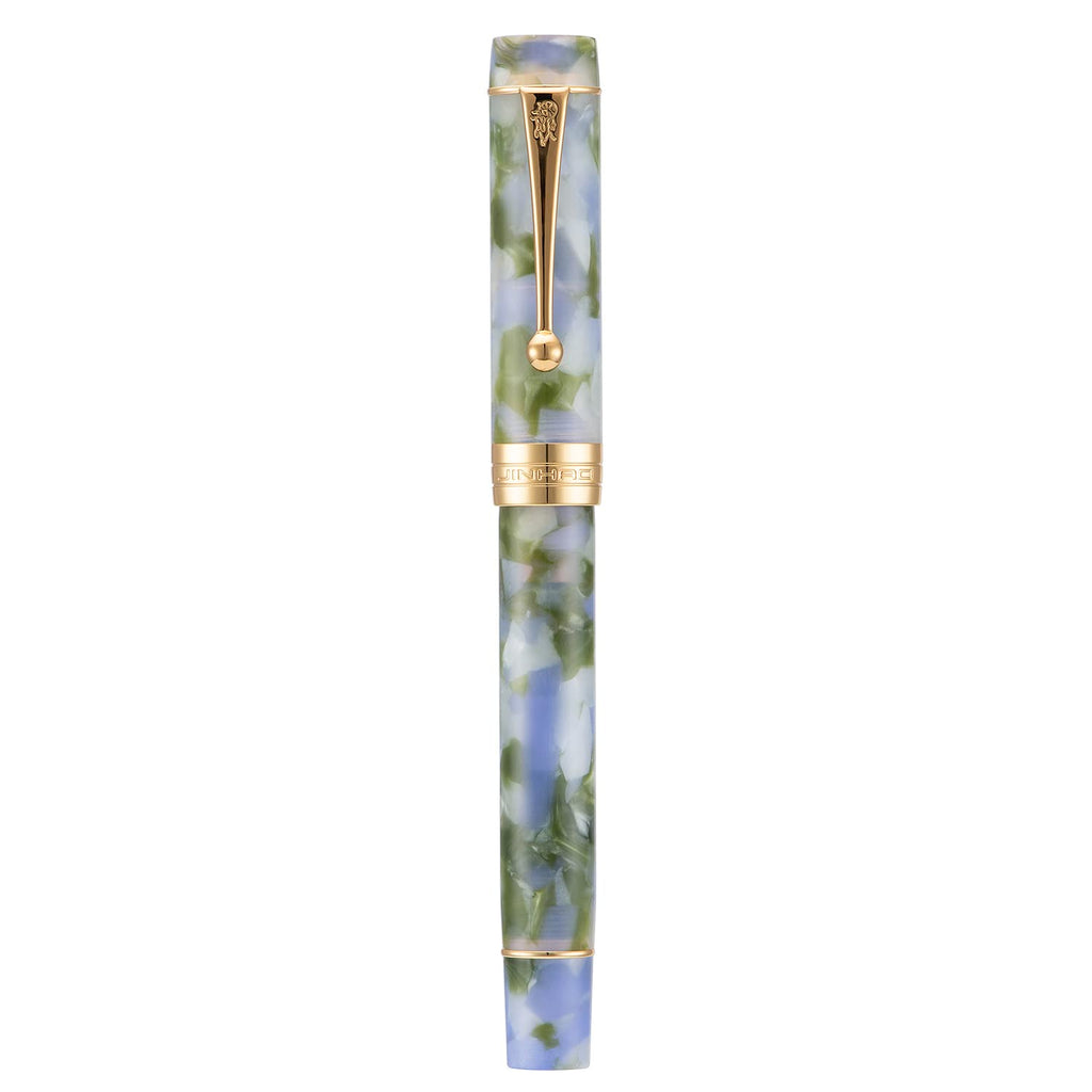Jinhao 100 Fountain Pen Celluloid Classic Style, #6 Nib Smooth Writing Instrument with Refillable Converter and Pen Case Set