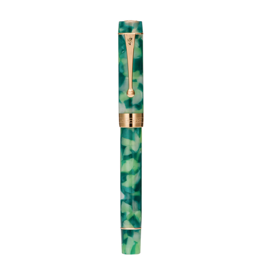 Jinhao 100 Fountain Pen Celluloid Classic Style, #6 Nib Smooth Writing Instrument with Refillable Converter and Pen Case Set