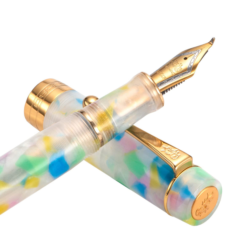 Jinhao 100 Fountain Pen Celluloid Classic Style, #6 Nib Smooth Writing Instrument with Refillable Converter and Pen Case Set