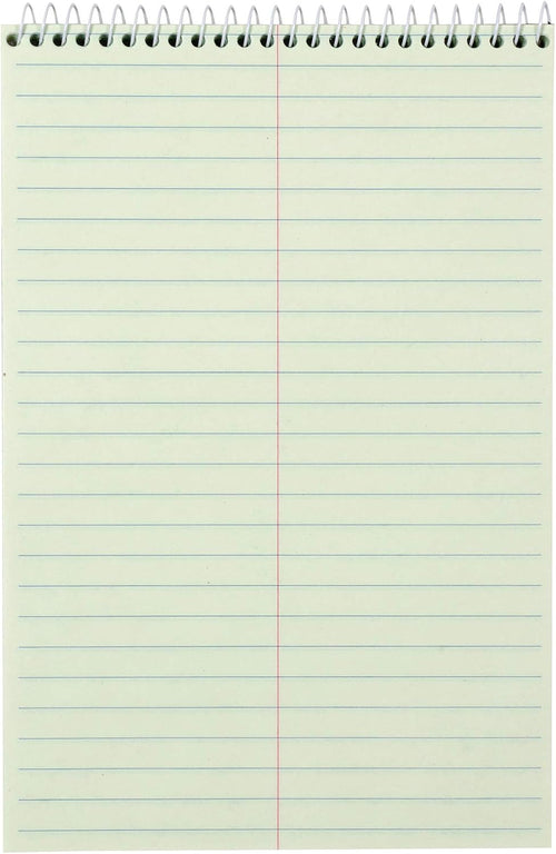 Amazon Basics Steno Notebooks, Gregg Rule, Green Paper for Notes, 80 Sheets, 6" x 9", 12-Pack